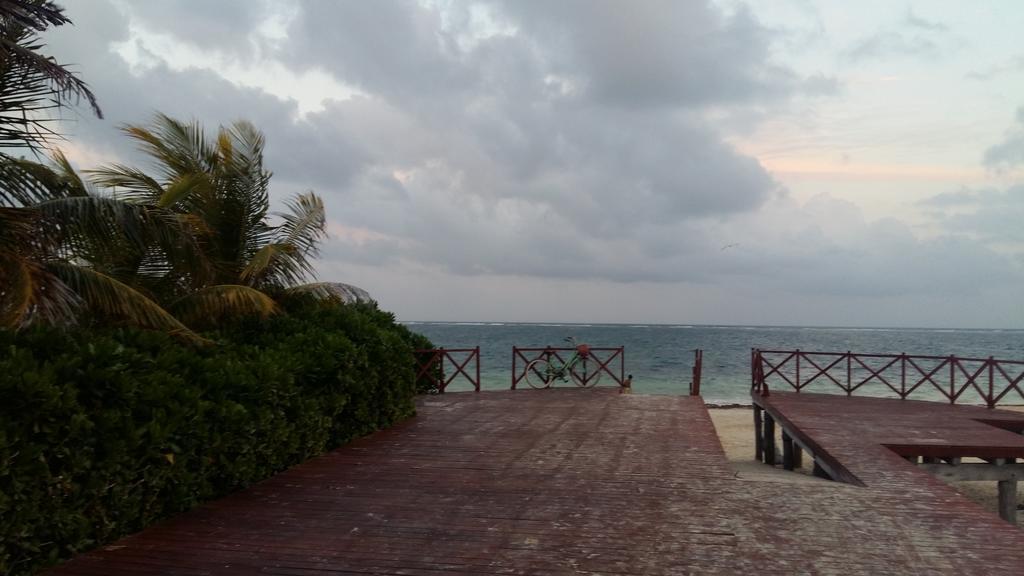 Balanca Studios Puerto Morelos Exterior foto